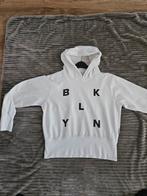 Penn&ink hoodie, Kleding | Dames, Truien en Vesten, Ophalen of Verzenden, Wit, Zo goed als nieuw, Penn & Ink