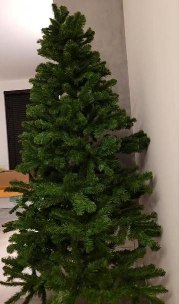 Kerstboom in goede staat  beschikbaar voor biedingen