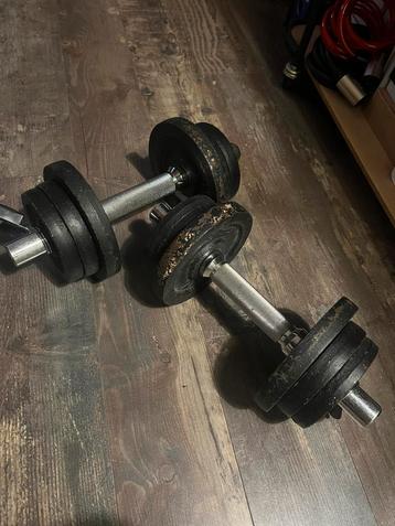 2x 10,5kg - Dumbellset beschikbaar voor biedingen