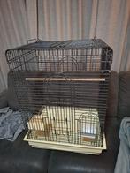 Papegaaien kooi Strong Aurelia, Ophalen, Metaal, Vogelkooi