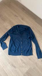 Mooi vest tommy hilfiger L, Maat 52/54 (L), Blauw, Tommy Hilfiger, Ophalen of Verzenden