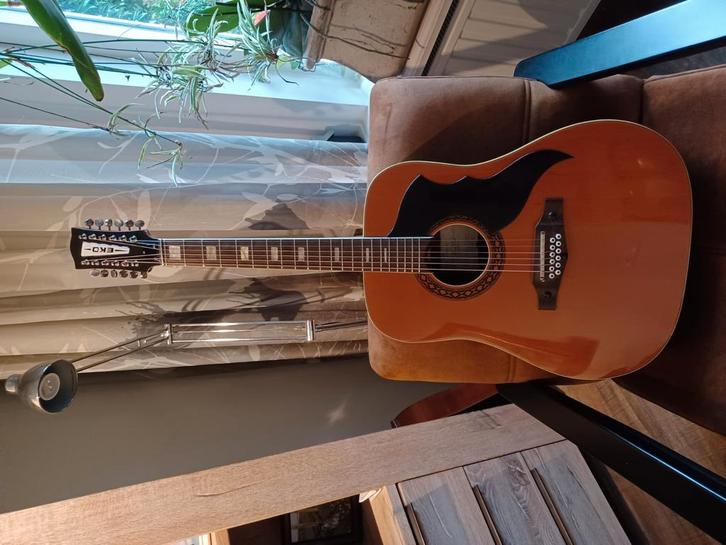TK Eko 12 sn gitaar met hardcase  uit het jaar  1970, Muziek en Instrumenten, Snaarinstrumenten | Gitaren | Akoestisch, Gebruikt