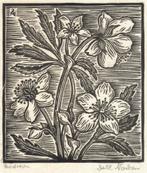 R. Naiken houtsnede "Herzliche Weihnachts & Neujahrswünsche", Diversen, Kerst, Ophalen, Zo goed als nieuw