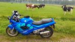 Suzuki GSX 750 F (opknapper), Motoren, Motorrijbewijs A, Sport, Particulier