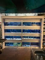 Aquariumstelling 300cm breed. 245cm hoog., Dieren en Toebehoren, Ophalen, Gebruikt, Leeg aquarium