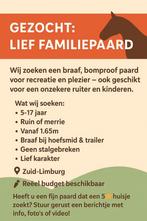 Gezocht familie paard, Ophalen