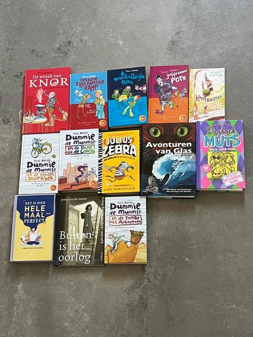 Kinder/tienerboeken, Boeken, Kinderboeken | Jeugd | 10 tot 12 jaar, Zo goed als nieuw, Verzenden