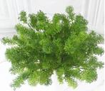 Kunst Gras Plant / Nep Rode Gele Groene Planten Tuin, Verzenden, Nieuw