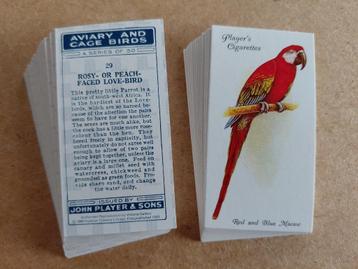 Aviary & Cage Birds complete set 50 cigarette cards REPRO beschikbaar voor biedingen