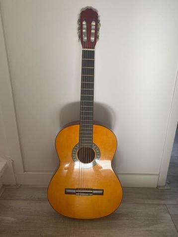 Gitaar met hoes beschikbaar voor biedingen