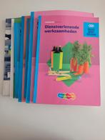 Dienstverlenende Werkzaamheden - Theorieboek & Werkboek, Boeken, Ophalen of Verzenden, Zo goed als nieuw, MBO, A. Walsma