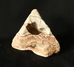 Aquariumsteen, Dieren en Toebehoren, Ophalen of Verzenden, Zo goed als nieuw, Plant(en), Steen of Hout