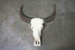 Buffel schedel 3, Western Deco, echte buffel schedel, Nieuw, Overige soorten, Ophalen, Schedel