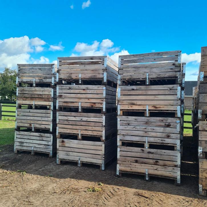 Houten Fruitkisten / Palletboxen, Doe-het-zelf en Verbouw, Hout en Planken, Gebruikt, Pallet, Overige houtsoorten, Minder dan 200 cm