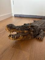 Krokodil 80.centimeter  levensecht, Dieren en Toebehoren, Reptielen en Amfibieën, 0 tot 2 jaar