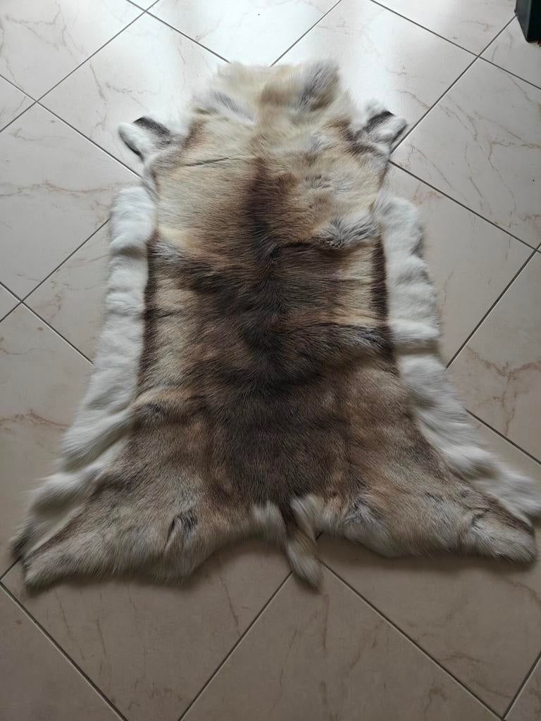 Prachtig rendiervacht!, Ophalen of Verzenden