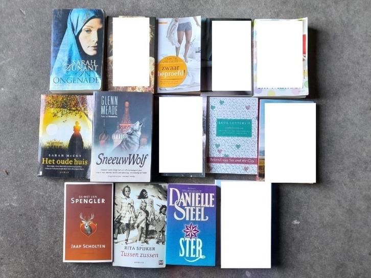 Dunant Sarah : In ongenade, Boeken, Historische romans, Ophalen of Verzenden