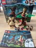 Lego 75967 Harry Potter verboden bos, Nieuw, Complete set, Ophalen of Verzenden, Lego