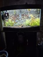 150L Aquarium met nieuwe pomp & ledlicht!! / co2!!, Ophalen, Gebruikt, Leeg aquarium
