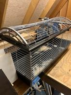 Konijnen / cavia kooi voor binnen, Dieren en Toebehoren, Knaagdieren en Konijnen | Hokken en Kooien, Ophalen, Kooi, 110 cm of meer