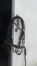 Nieuw luxe stang en trens hoofdstel full bruin, Ophalen of Verzenden, Nieuw, Dressuur