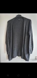 Lang warm grijs vest van 8mm maat L, Kleding | Dames, 8mm, Maat 42/44 (L), Ophalen of Verzenden, Grijs