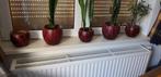 8 Bloempotten, 3 grote en 5 kleinere, Ophalen, Rond, Zo goed als nieuw, Aardewerk
