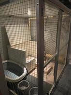Opzichzelfstaande werpkamer, hok, bench, kennel, ren, Dieren en Toebehoren, Ophalen, Zo goed als nieuw