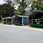 Kalver boogstal – groepshuisvesting buiten, Dieren en Toebehoren, Verzenden, Nieuw