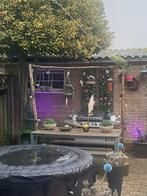 Tuintafel met 2 bankjes Polywood Grey met aluminium, Tuin en Terras, Tuintafels, Ophalen, Zo goed als nieuw, Rechthoekig, Aluminium