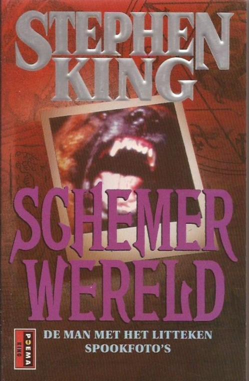 Stephen King Schemer wereld, Boeken, Fantasy, Gelezen, Ophalen of Verzenden