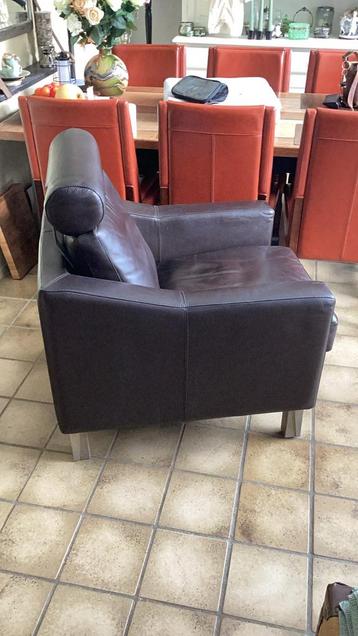 Leolux  design fauteuil - leder - donkerbuin tegen zwart aan beschikbaar voor biedingen