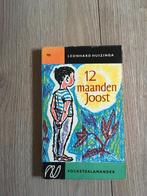 Leonard Huizinga - 12 maanden Joost, Boeken, Ophalen of Verzenden, Gelezen, Nederland