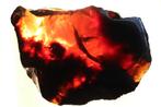 Amber (barnsteen), Ophalen of Verzenden, Mineraal