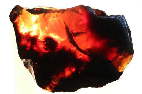 Amber (barnsteen), Verzamelen, Mineralen en Fossielen, Mineraal, Ophalen of Verzenden