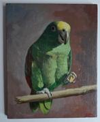 Joop Hibbel (1926-2006). Papagaai. Olieverf op paneel., Antiek en Kunst, Ophalen of Verzenden