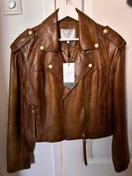 Dante6 Tucson Biker Jacket - Bruin, Kleding | Dames, Jasjes, Kostuums en Pakken, Bruin, Verzenden, Nieuw, Jasje