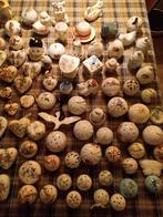 Grote collectie pomanders/reukbollen (120+), Ophalen, Gebruikt