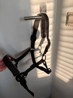 Zwart glitter halster met zachte stof, Dieren en Toebehoren, Paarden en Pony's | Hoofdstellen en Tuigage, Ophalen of Verzenden