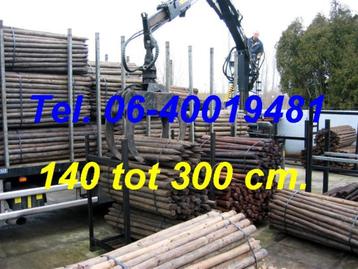 Afrasteringspalen voor professioneel gebruik tot 300 cm. beschikbaar voor biedingen