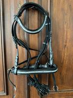 Bitloos hoofdstel, Ophalen of Verzenden, Nieuw