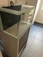 Zoutwater aquarium 80 liter met opvoerpomp en skimmer, Dieren en Toebehoren, Vissen | Aquaria en Toebehoren, Ophalen, Gebruikt