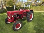 McCormick International D324 - Oldtimer Tractor, Zakelijke goederen, Ophalen, Oldtimer, Tot 80 Pk