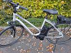 Flyer elektrische fiets topkwaliteit Zwitserse makelij, Ophalen of Verzenden, Zo goed als nieuw, Minder dan 10 versnellingen, Overige merken