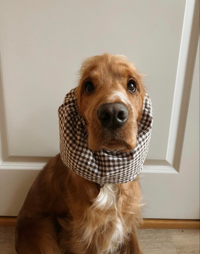 Snood voor cocker spaniël, Dieren en Toebehoren, Honden-accessoires, Nieuw, Ophalen of Verzenden