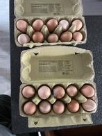 Broed eieren Noord-Hollandse Blauwen, Dieren en Toebehoren, Pluimvee
