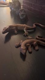 oude koperen Indonesische salamander beeldjes, Antiek en Kunst, Ophalen