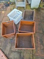 5 fiets kratten, Ophalen of Verzenden, Minder dan 50 cm, Minder dan 50 cm