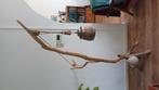 Design lamp Mindz, Dieren en Toebehoren, Vogels | Toebehoren, Ophalen, Gebruikt, Overige typen