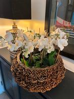 Orchideeën in Dennenappel Mand, Huis en Inrichting, Ophalen, Mand, Rond, Zo goed als nieuw